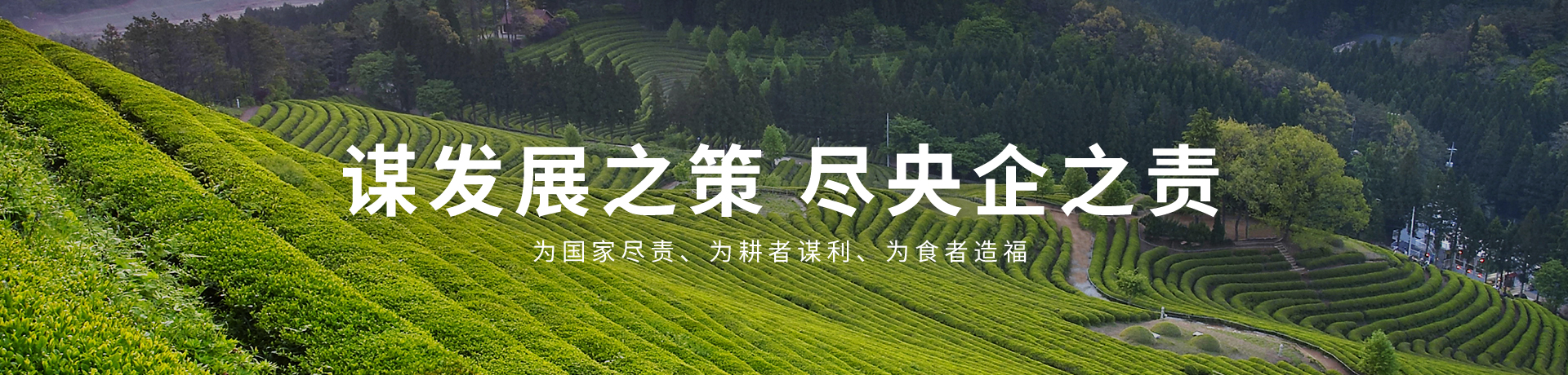 南宫NG·娱乐(中国集团)官方网站